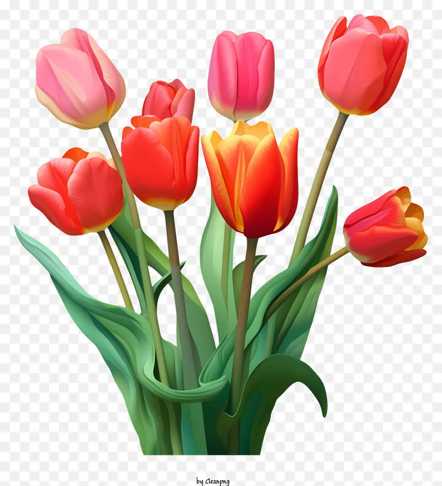 Tulipes，Printemps PNG