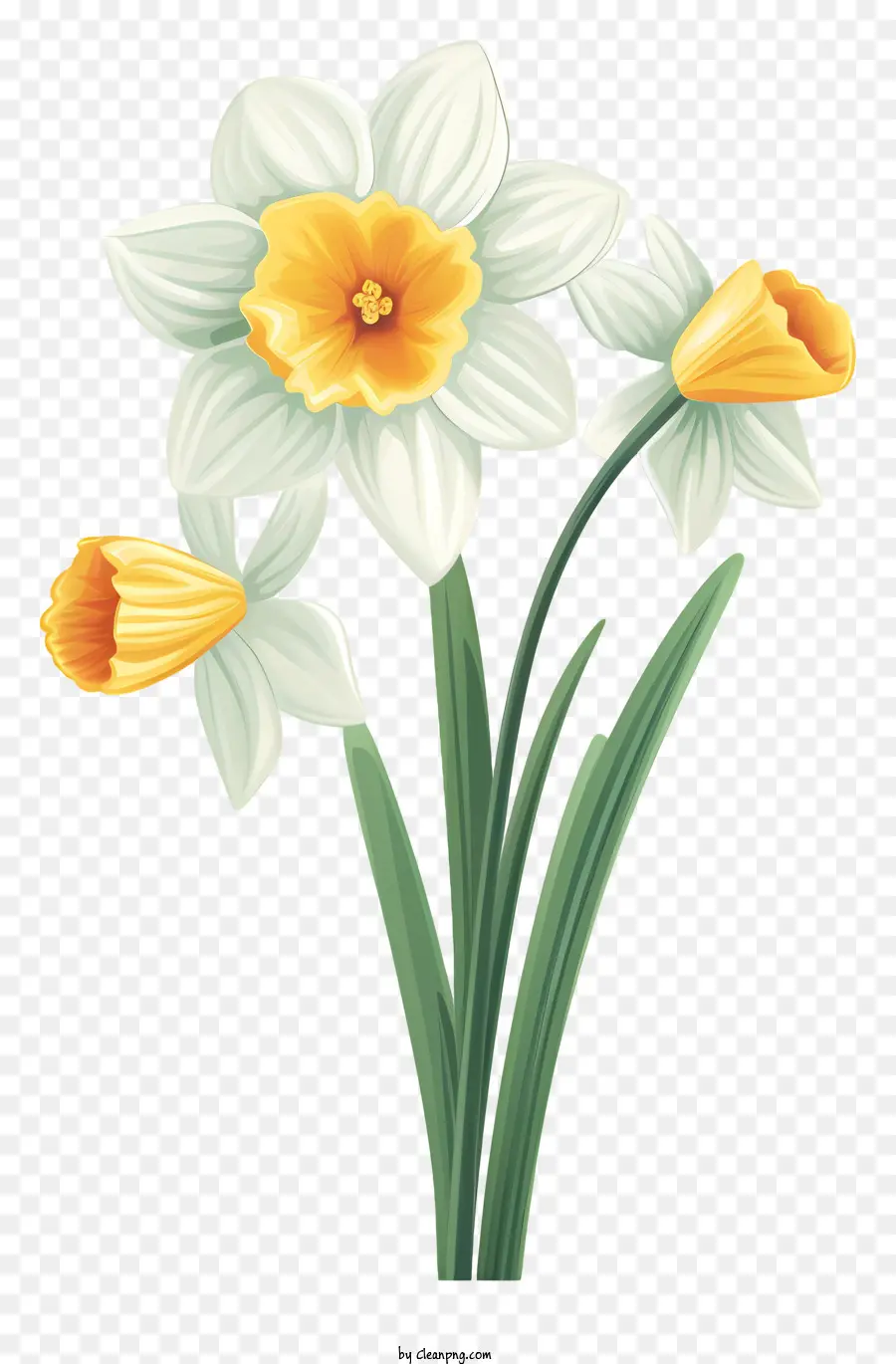 Les Jonquilles，Fleurs Jaunes PNG