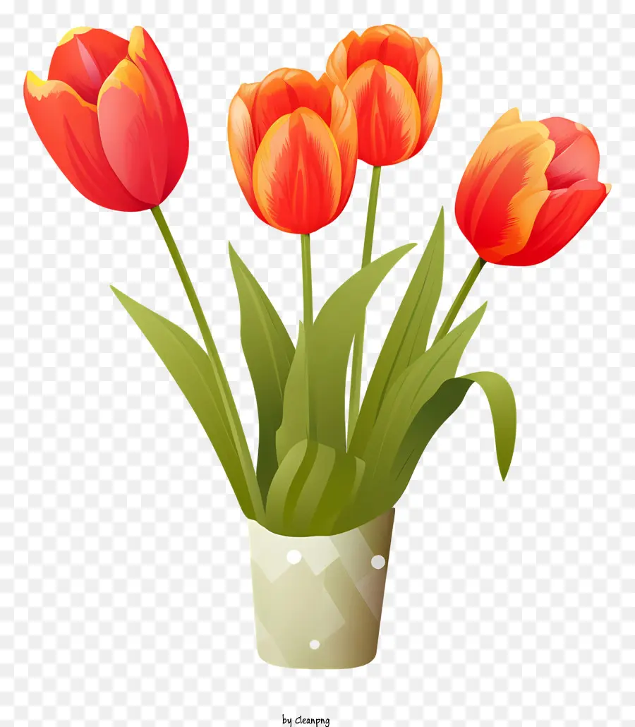 Vase，Orange Tulipes PNG