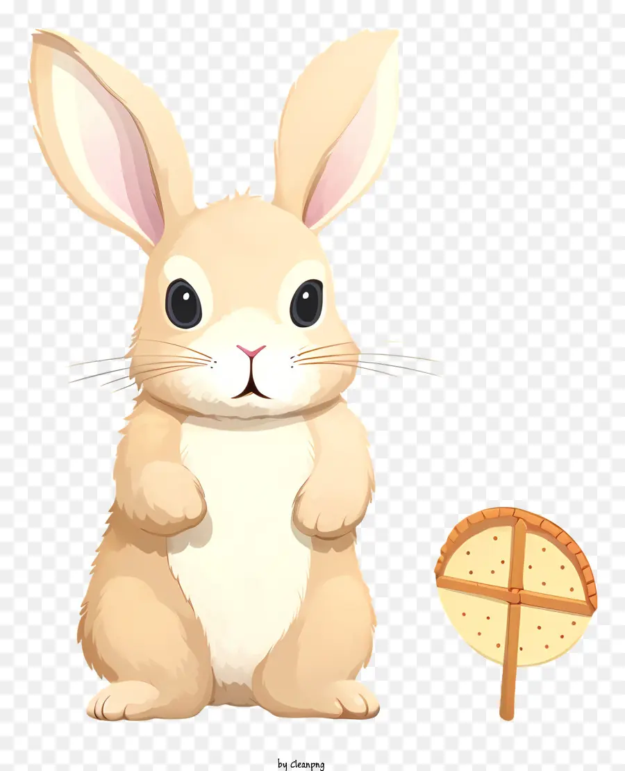 Lapin Lapin，Lapin Marron PNG