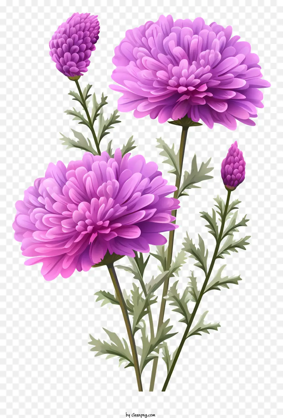 Fleurs Roses，Fleurs Violettes PNG