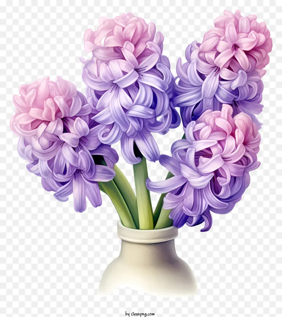 Fleurs De Jacinthe Violet，Vase PNG