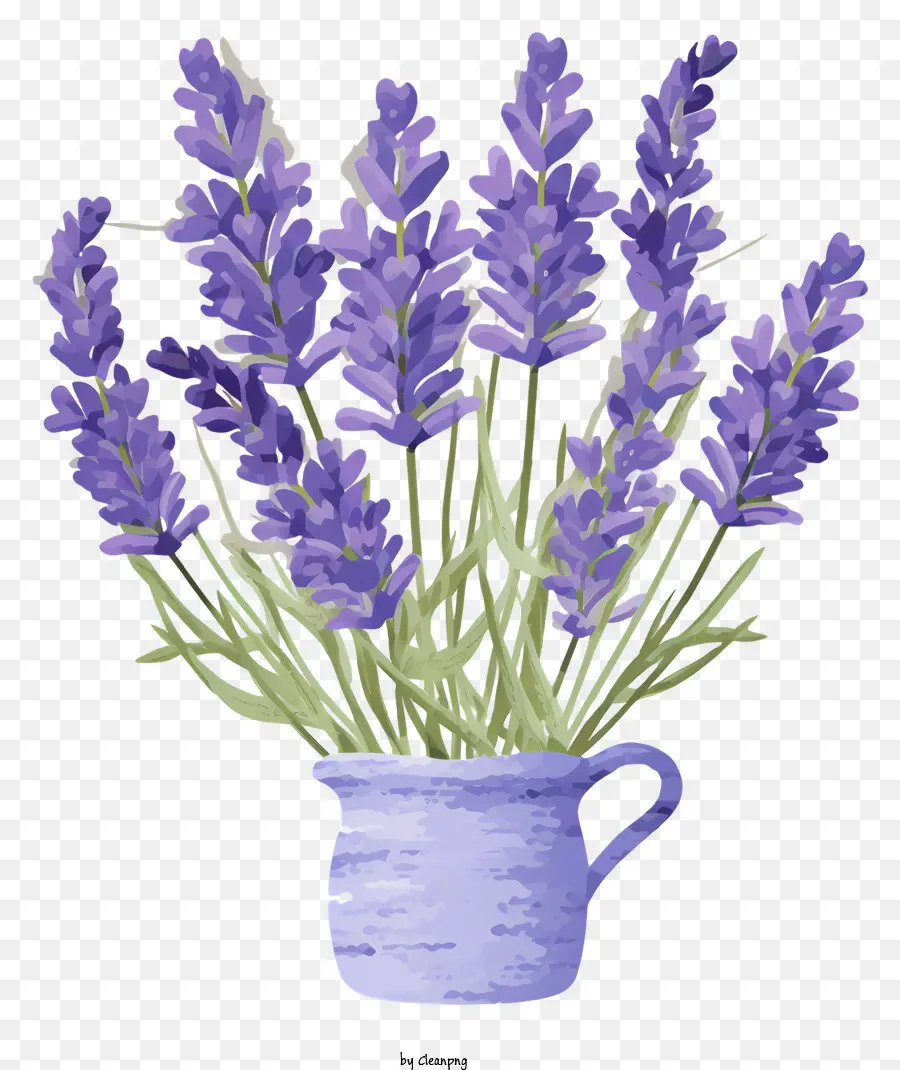 Fleurs De Lavande，Vase Bleu PNG