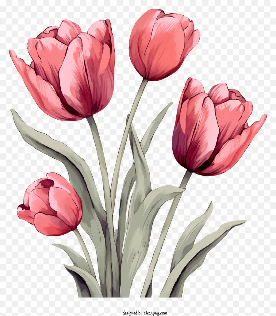 Tulipes Roses，Bouquet PNG