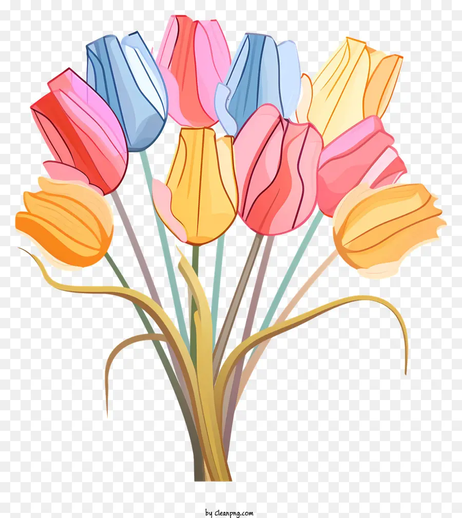 Tulipes，Tulipes Colorées PNG