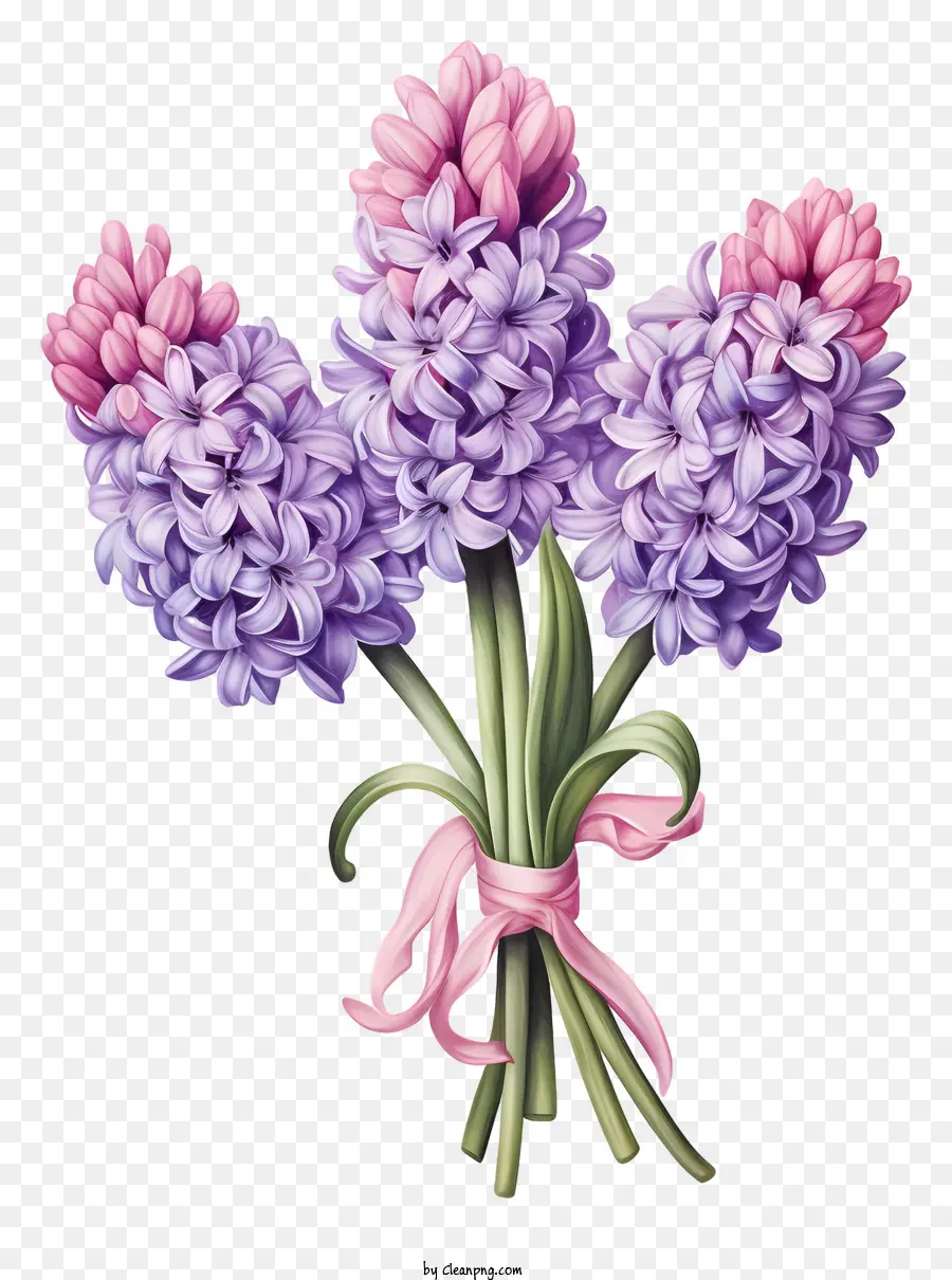 Lilas，Fleur De Jacinthe PNG