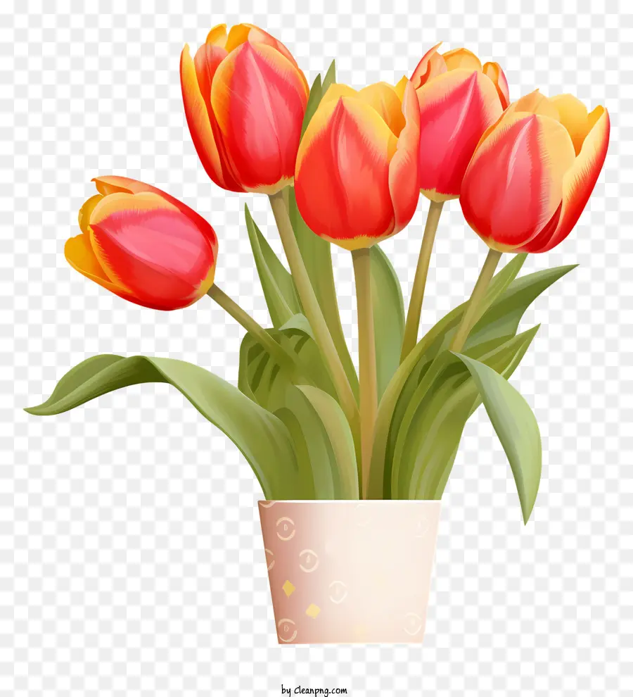 Tulipes Rouges，Tulipes Jaunes PNG