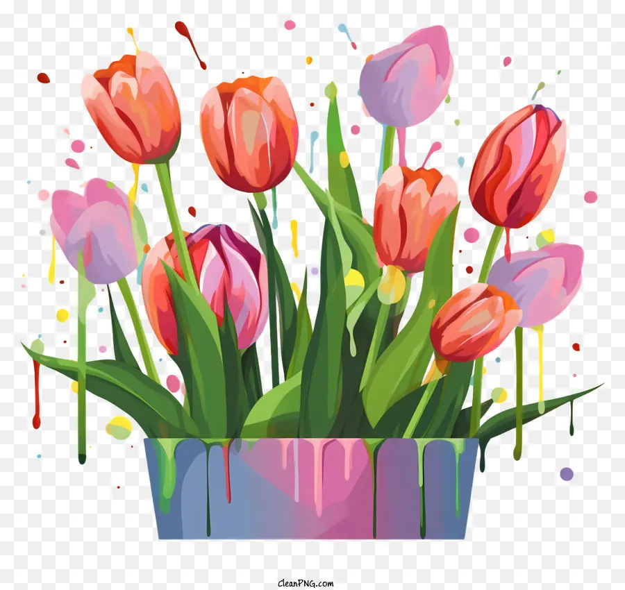 Tulipes Roses，Tulipes PNG