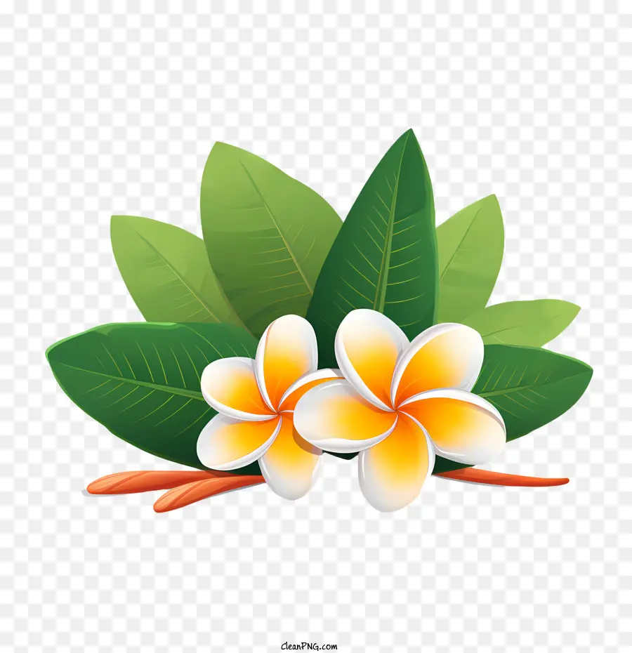 Fleur De Frangipanier，Fleurs Jaunes PNG