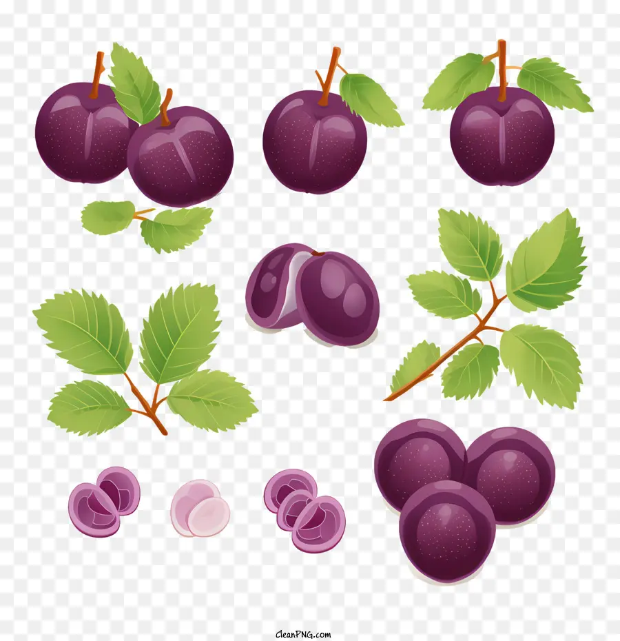 Prune，Prunes PNG