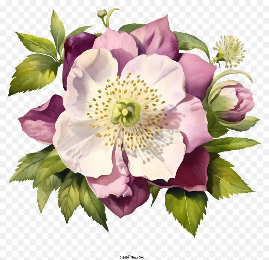 De Rose Et De Fleur Blanche，Pétales Arrondies PNG