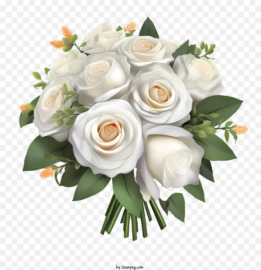 Blanc Fleur Rose，Des Roses Blanches PNG