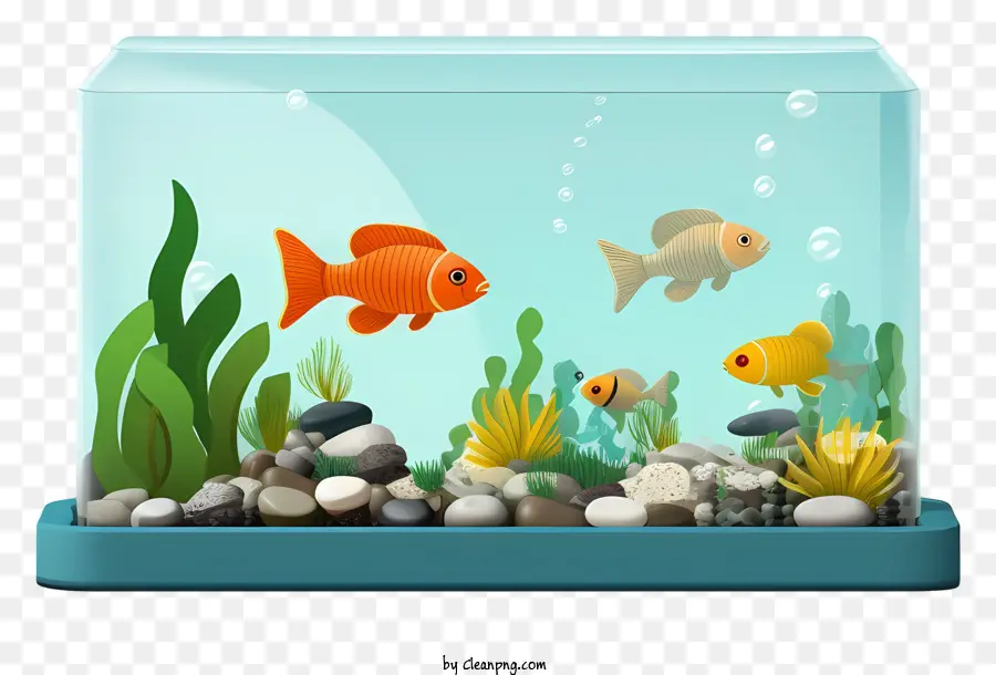 Réservoir De Poissons，Les Plantes Aquatiques PNG