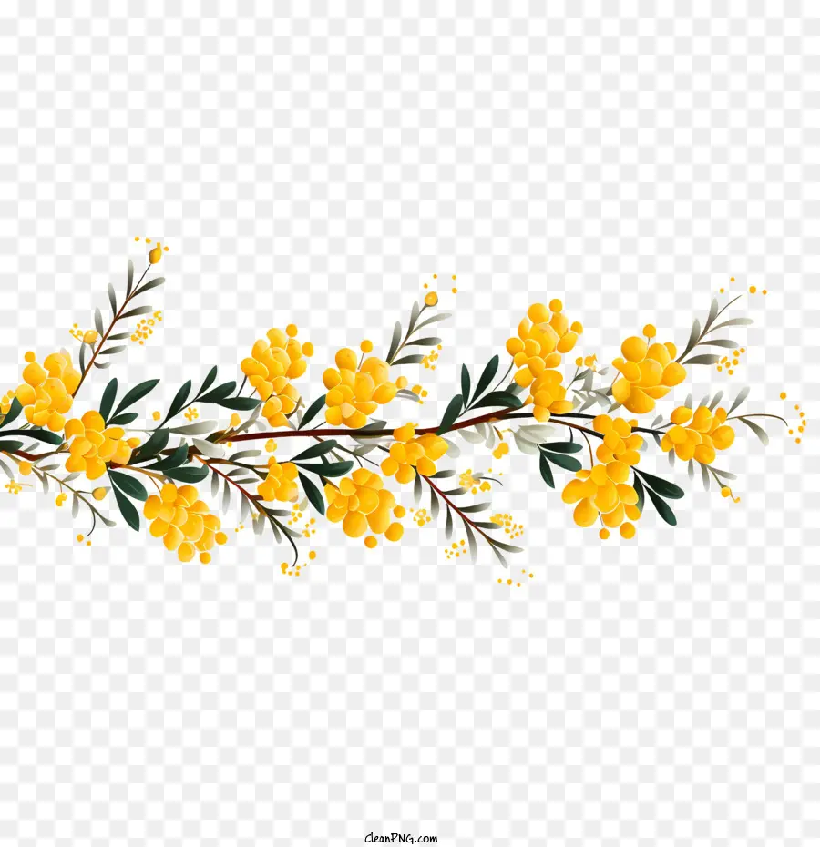 Acidule Doré，Fleurs Jaunes PNG