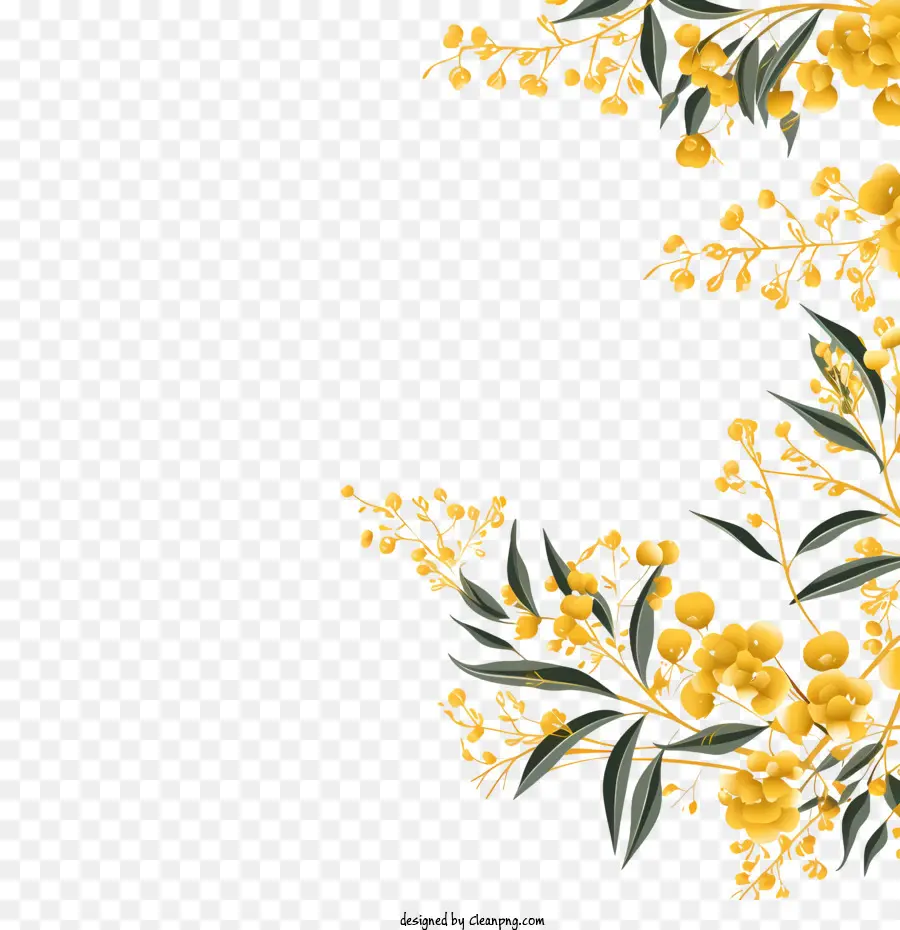 Acacia Doré，Fleurs Jaunes PNG