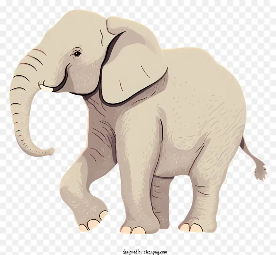 Bébé éléphant，Animaux Mignons PNG