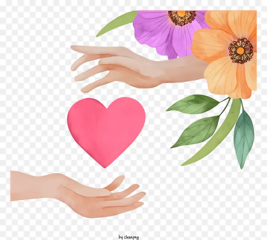 Hands Couping Heart，Coeur Rose PNG