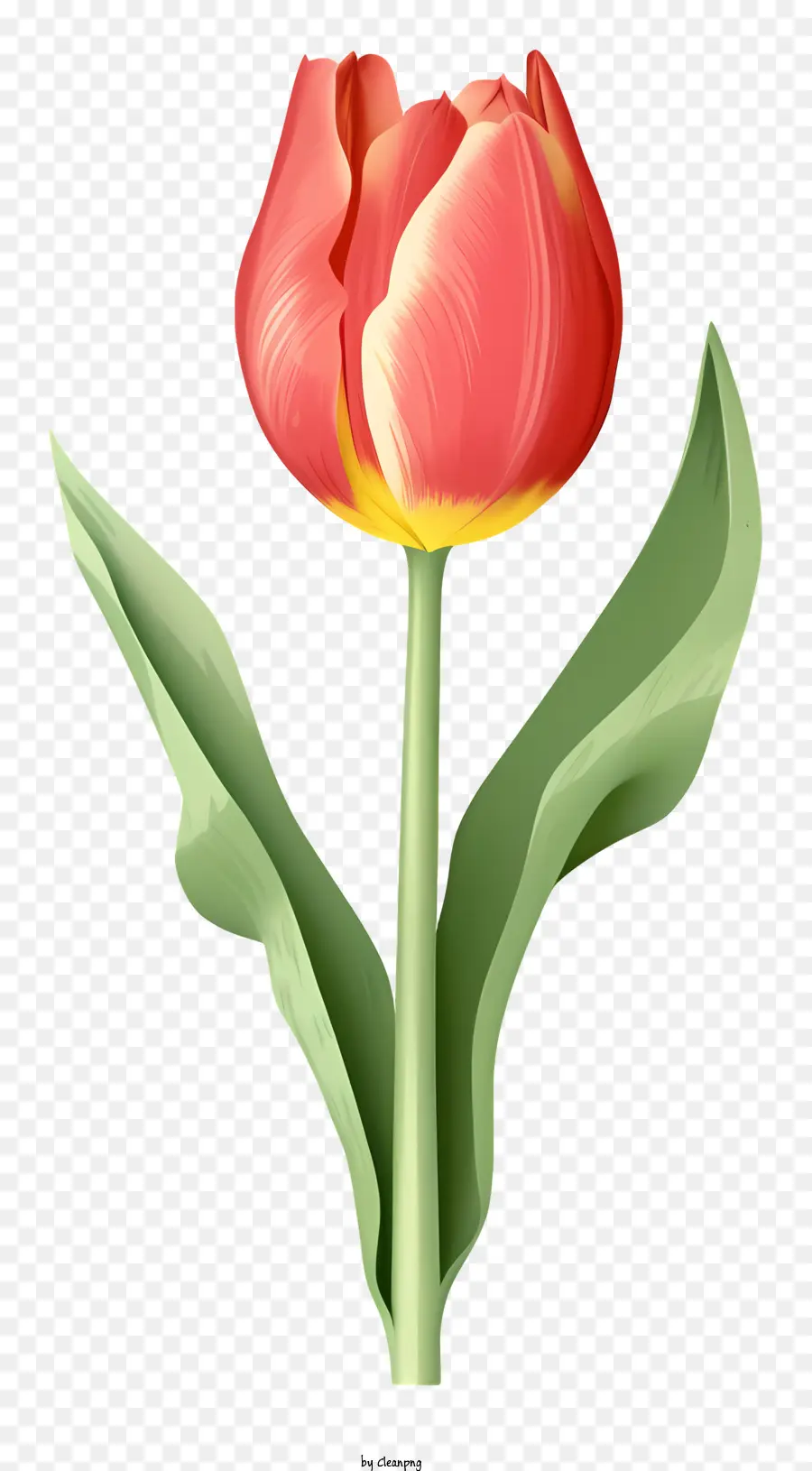 Rose Tulipe，Feuilles Vertes PNG
