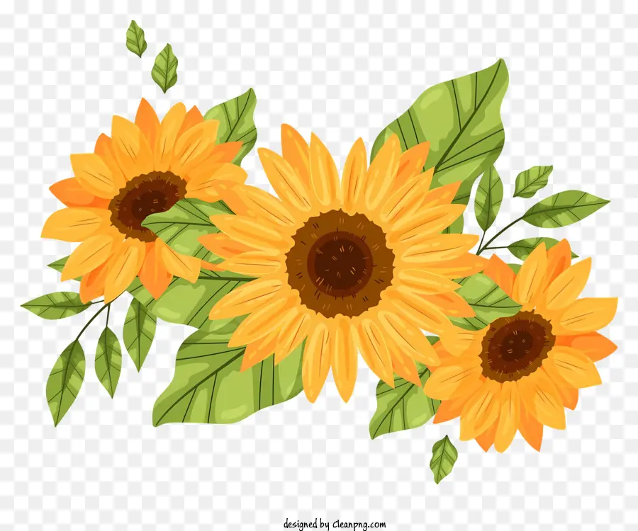 Tournesols，Feuilles PNG