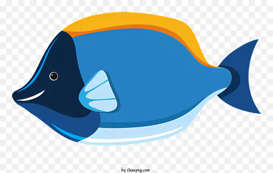 Poisson Bleu，Aquatique PNG