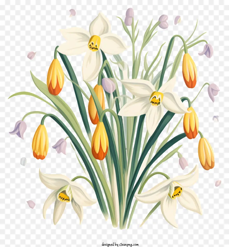 Bouquet，Jonquilles Blanches PNG