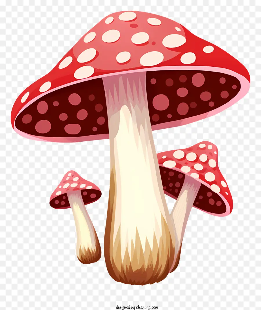 Champignons，Champignon Mignon PNG