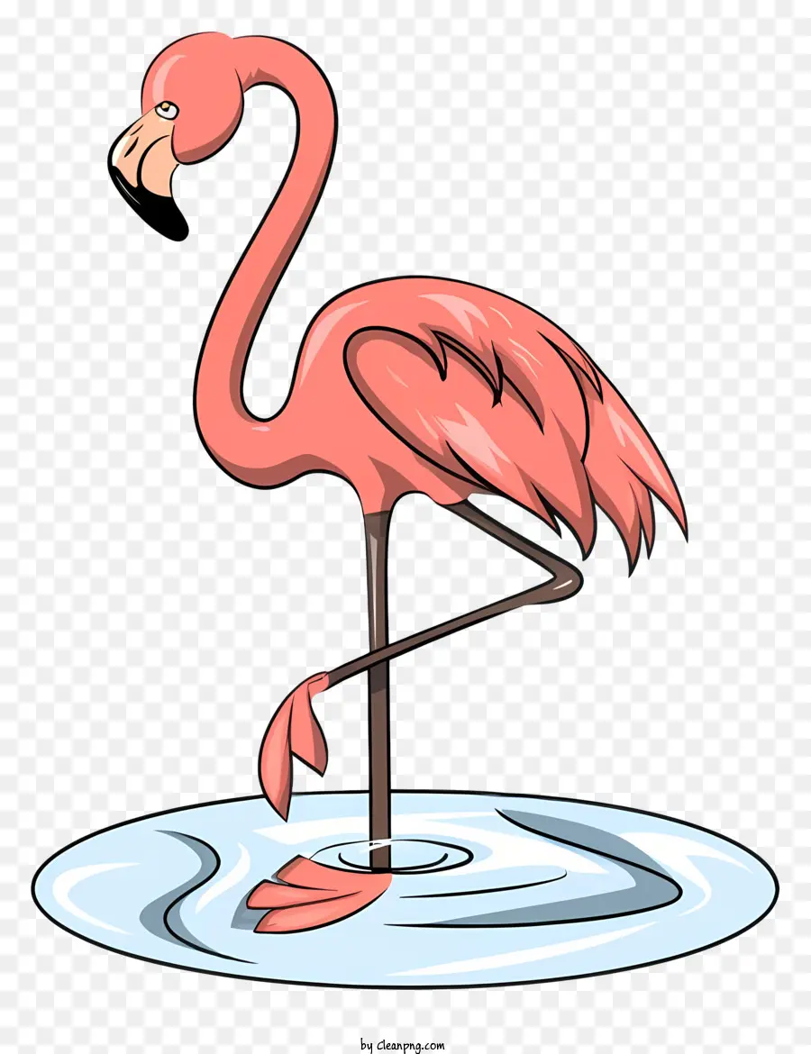 Flamant Rose，Flamant PNG