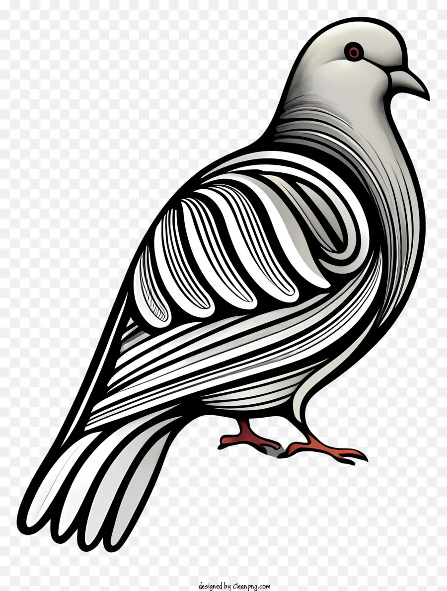 Oiseau，Pigeon PNG