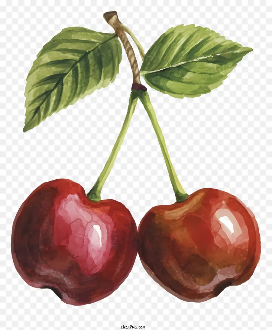 Cerises，Cerise PNG