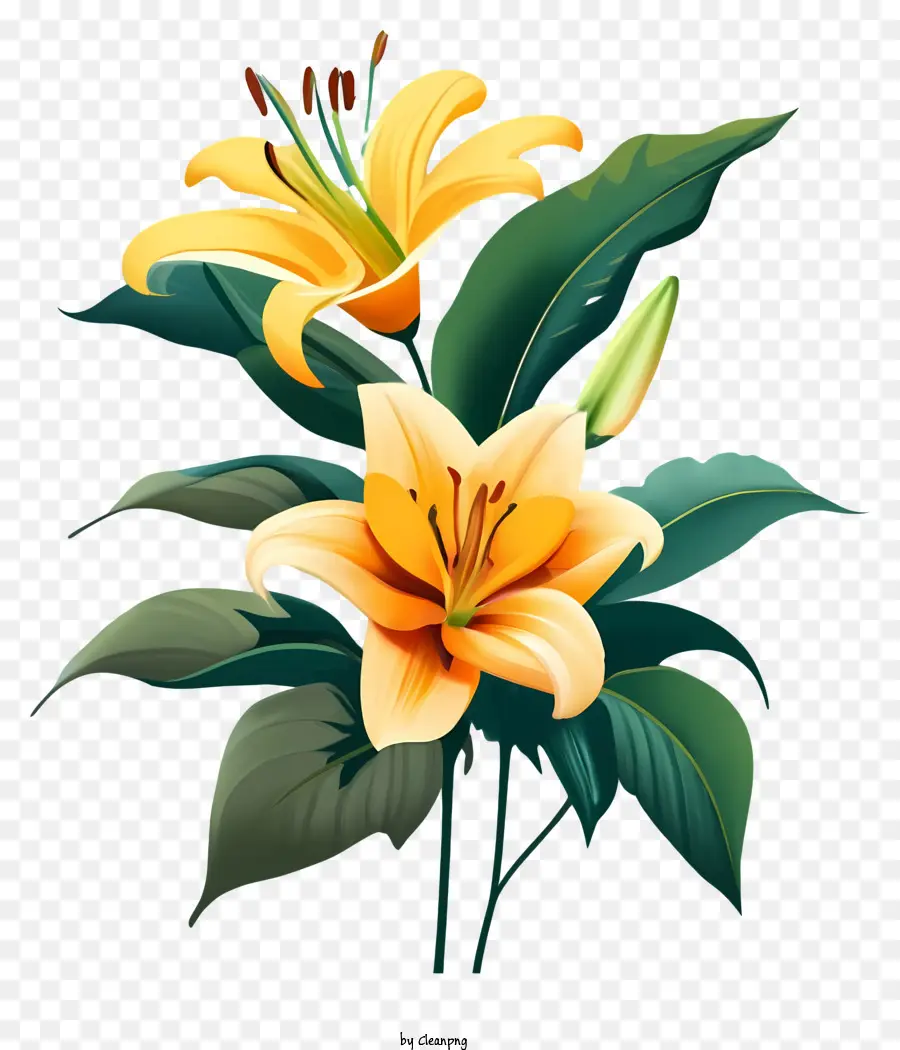 Fleur，Lys Orange PNG