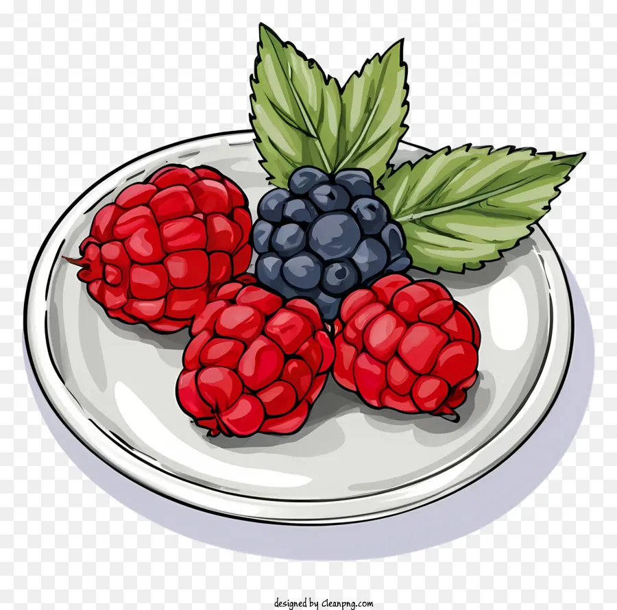 Framboises，Plaque Blanche PNG