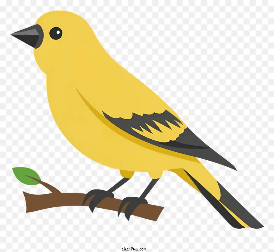 Oiseau Jaune，Oiseau PNG