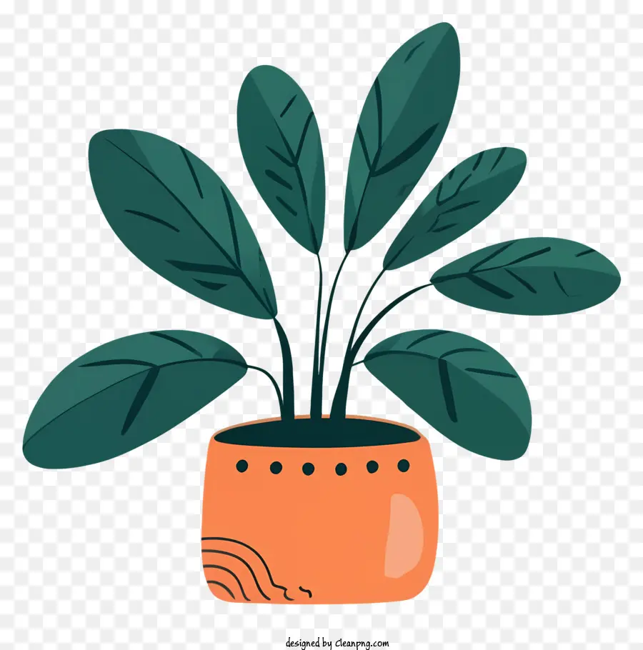 Plante En Pot，Les Feuilles De Palmier PNG