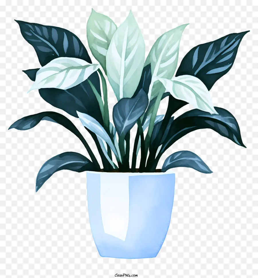 Pot à Fleurs En Céramique Blanche，Feuilles Vertes PNG