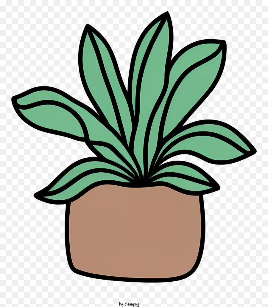 Plante En Pot，Feuilles Vertes PNG