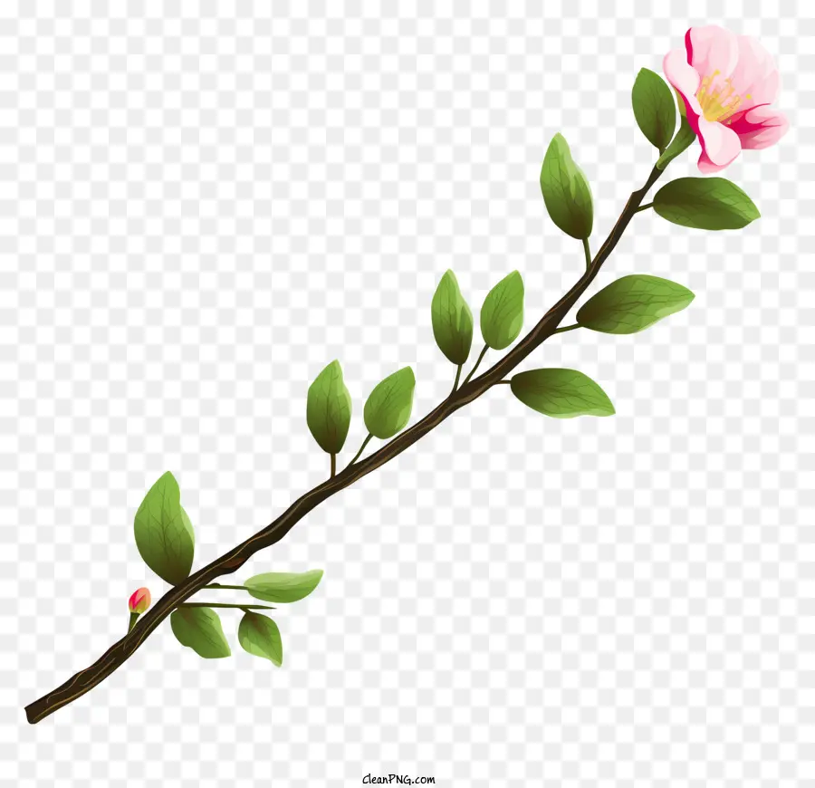 Fleur Rose，Simple Fleur Rose PNG