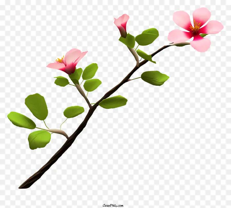 Branche Avec Des Fleurs，Fleurs Roses PNG