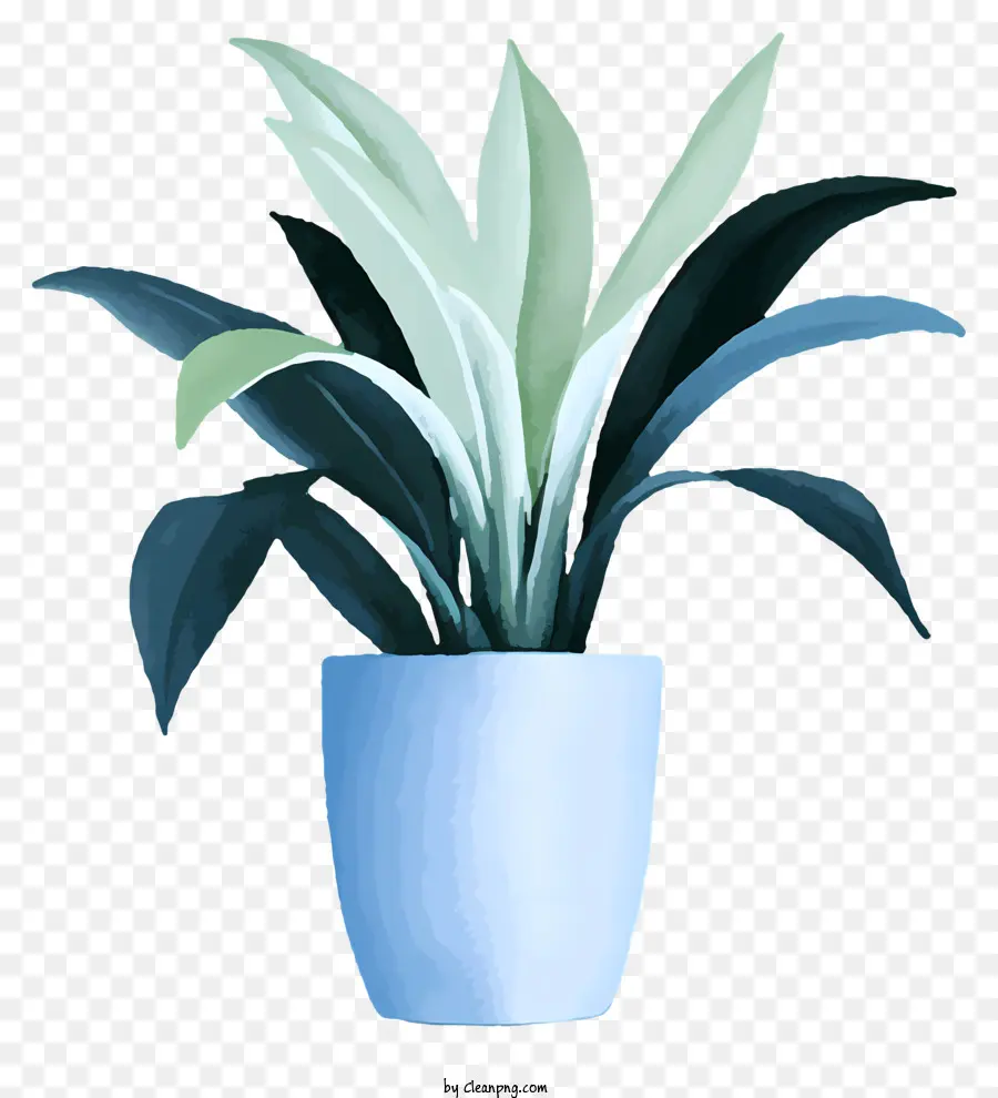 Plante Dans Un Vase Bleu，Feuilles Vertes PNG