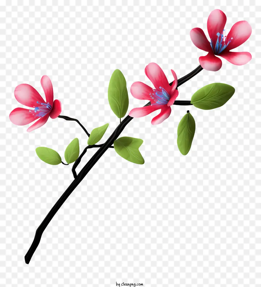 Fleurs Roses，Branche De Fleurs PNG