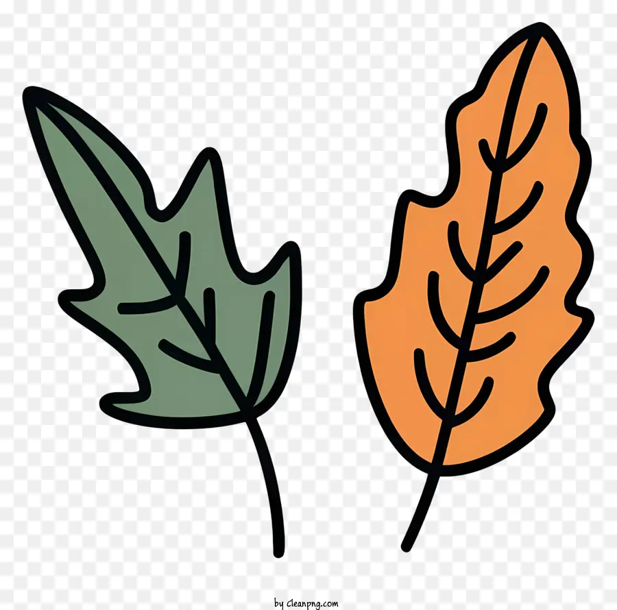 Feuilles De Chêne，Feuilles Vertes Et Oranges PNG