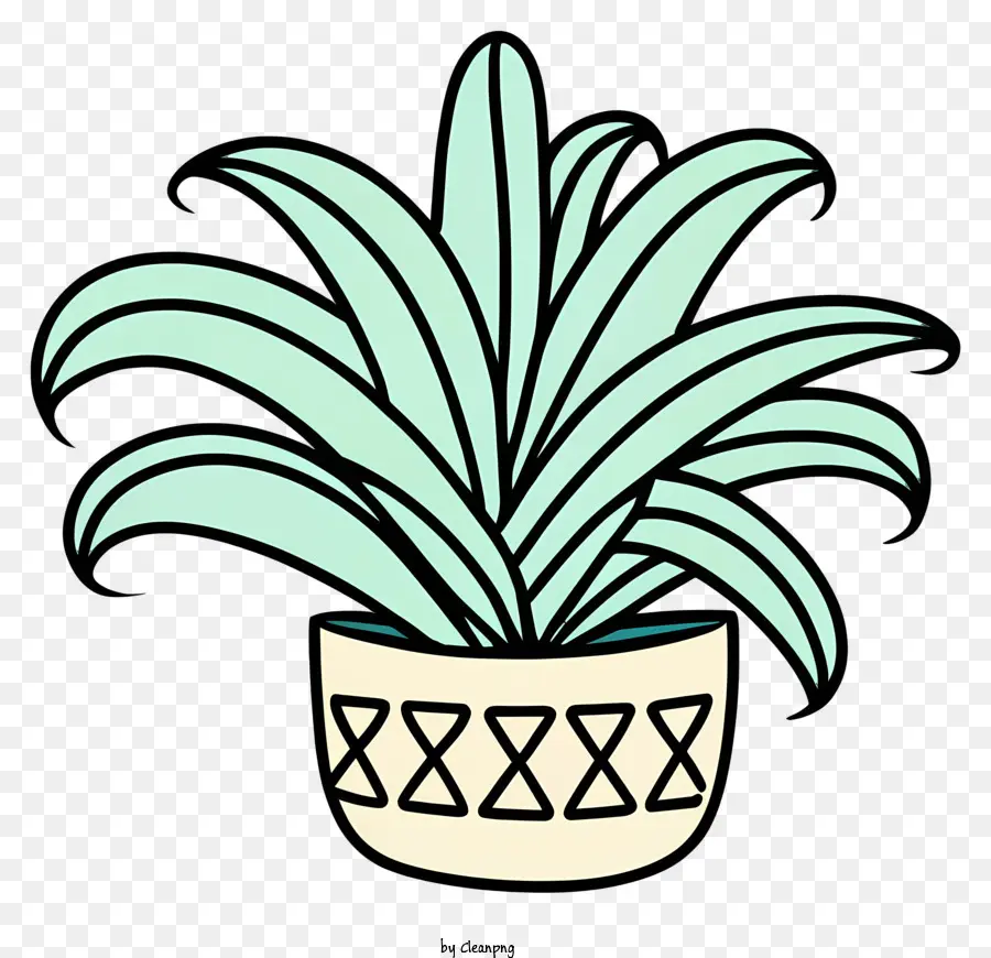 Plante En Pot，Verdure PNG