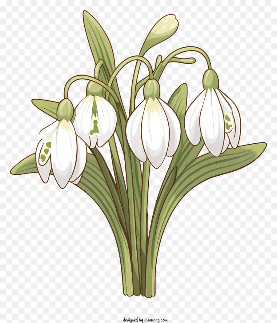 Bouquet，Fleur De Perce Neige PNG