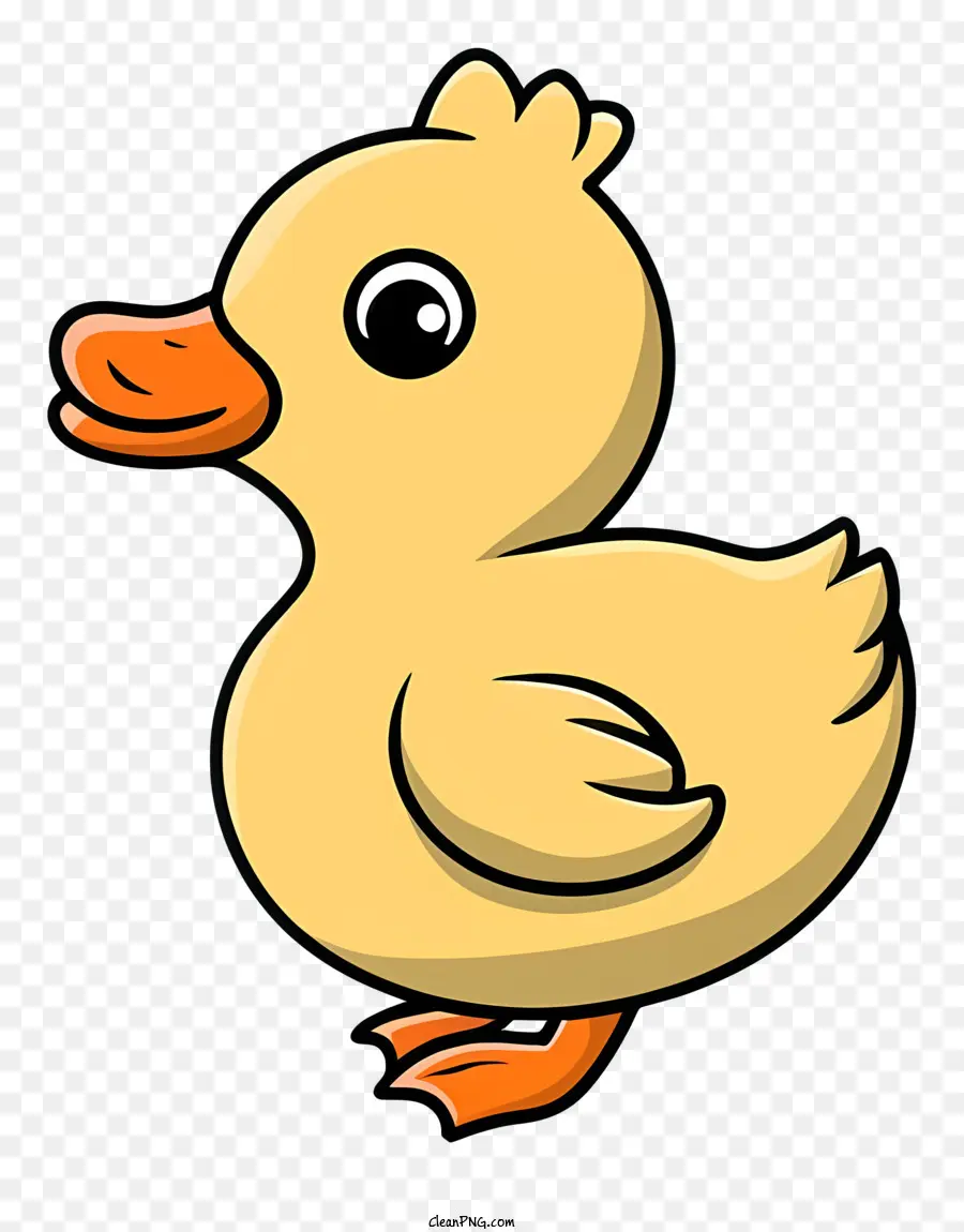 Canard De Dessin Animé，Canard PNG