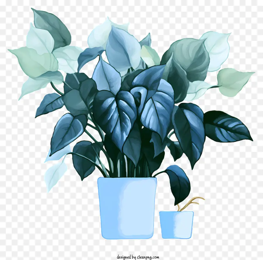 Vase Bleu，Plantes Vertes PNG