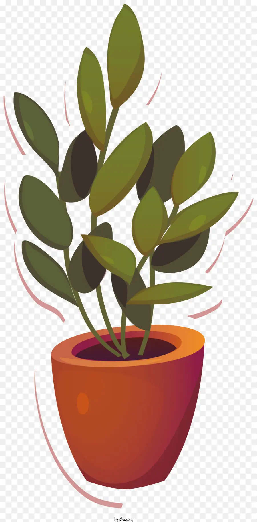 Plante En Pot，Usine PNG