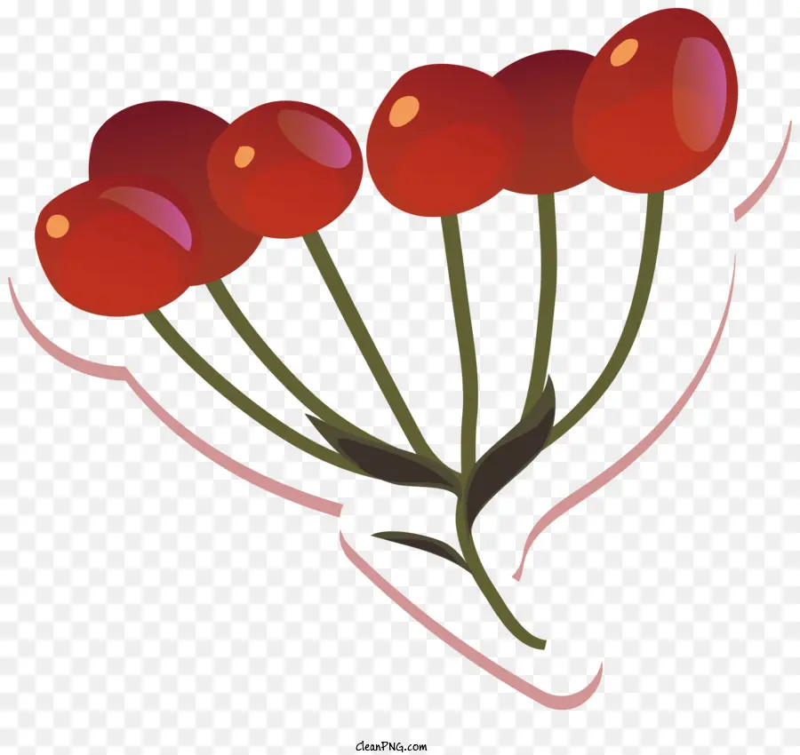 Fruit En Forme De Coeur，Fruits Rouges PNG