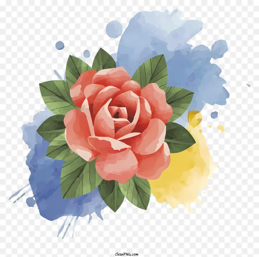 Rose，Arrière Plan Noir PNG