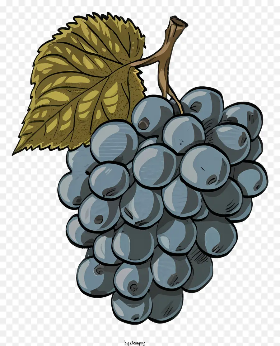 Raisins Bleus，Vigne PNG