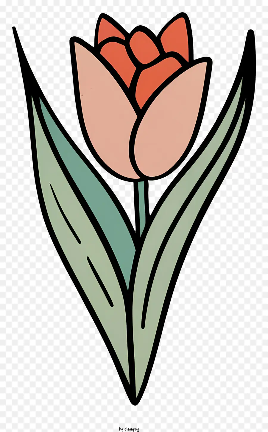 Tulipe Rouge，Fleurs PNG