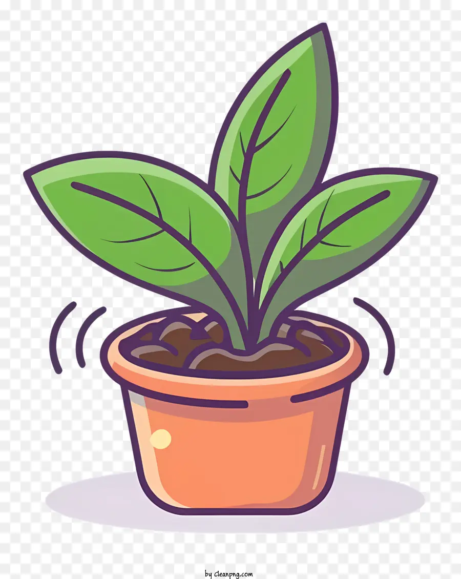 Plante En Pot，Usine PNG